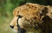 The Nairobi Backpackers’ Experience