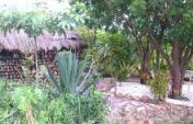 And Then I Fell In Love – XOFA Eco-Village, Ghana