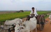 Cambodia on $25 Per Day