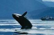 Exploring the Outdoors in British Columbia