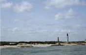 Virginia is for Lovers, but Virginia Beach is for Lovers of Nature – Virginia Beach, Virginia