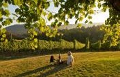 Food and Wine in British Columbia
