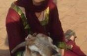 Sirensongs: Indologist at large – Author Bio