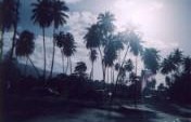 Charlie Brown in Paradise – Playa de Loquillo, Puerto Rico
