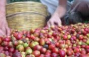 A Day in the Life – Highlands of Guatemala