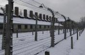 Chilling – Auschwitz, Poland