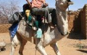 White Camel Dream – Burkina Faso/Niger