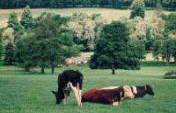 Home Three Weeks and I Can’t Wait to Return – Dorset, England