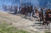 Super Bowl Sunday in Los Antiguos, Argentina – Los Antiguos, Argentina