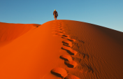 Do You Travel for Discovery or Escape?