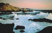 Mellow Monterey Bay…Where Solitude Can Carry You Away – Monterey Bay, California
