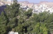 On the Road to Petra – Petra, Jordan