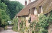 Unexpected Pleasures – Chedington, England