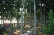Leaving Paradise Can Be Hell (2 of 3) – Andaman & Nicobar Islands, India