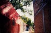 Heart of Fire – San Miguel De Allende, Mexico