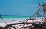 Cuban Delight – Cuba