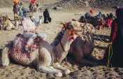 Overland Egypt: Notes for Women Traveling Alone