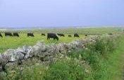 Treasures of  the Orkney Islands – Scotland, United Kingdom, Europe