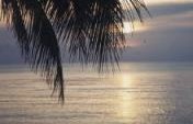 Seashells, Lobster, Golf Carts and You – Isla Holbox, Mexico