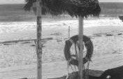 Take Me to the Other Side: Cozumel’s Real Wild Side – Cozumel, Mexico