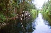Close Encounters with the Men of the Forest – Borneo, Asia