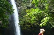 Pura Vida – Costa Rica, Central America
