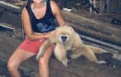 Quit Monkeying Around! – Indonesia