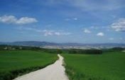 Santiago de Compostela: A Journey on Foot Across Northern Spain –  Europe