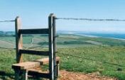 Things to Do When You’re In LA But Long to Be in Dorset – Dorset, England