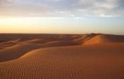 Sahara Crossing – Africa