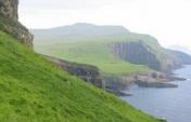 Privates on Parade – Mykines, Faroe Islands