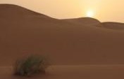 Sand in every Orifice: The Sahara – Morocco, Africa