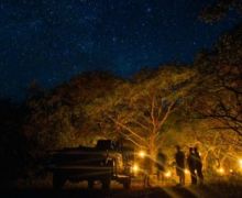 Traveler Postcard – Jessica in South Africa